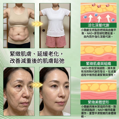 【腰腹管理・日常保養推薦】Luxarise®🍀辣木 × 小檗鹼 10-IN-1 高效奈米微針保養貼片 每日1片，輕鬆融入生活習慣，幫助維持理想體態與活力狀態