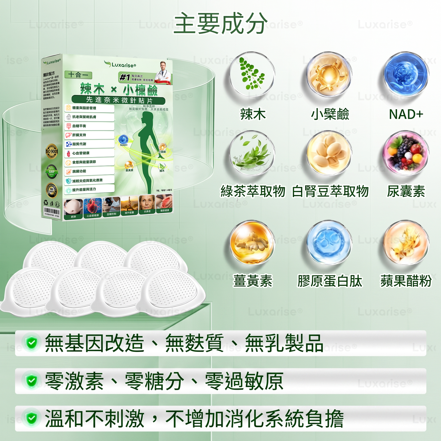 【腰腹管理・日常保養推薦】Luxarise®🍀辣木 × 小檗鹼 10-IN-1 高效奈米微針保養貼片 每日1片，輕鬆融入生活習慣，幫助維持理想體態與活力狀態