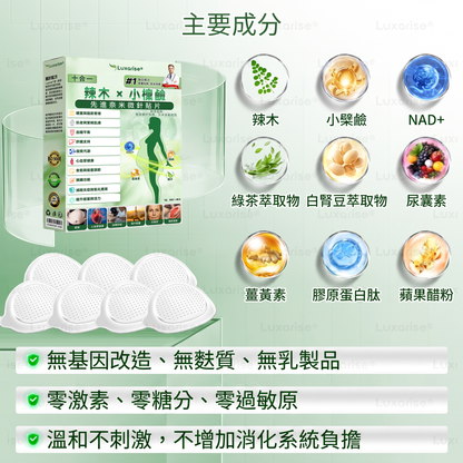 【腰腹管理・日常保養推薦】Luxarise®🍀辣木 × 小檗鹼 10-IN-1 高效奈米微針保養貼片 每日1片，輕鬆融入生活習慣，幫助維持理想體態與活力狀態