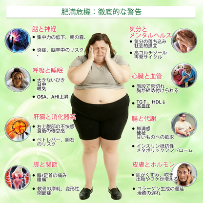【腰腹管理・日常保養推薦】Luxarise® 🐗辣木 × 小檗鹼 10-IN-1 高效奈米微針保養貼片 每日1片，輕鬆融入生活習慣，幫助維持理想體態與活力狀態